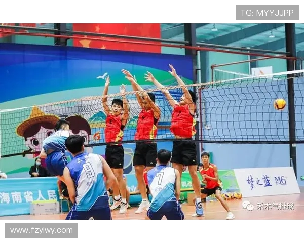 广州排球队灵活性变革引发热议助力竞技水平提升与战术创新