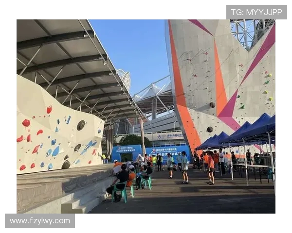 武汉攀岩队勇攀高峰的奋斗故事与联赛精彩瞬间回顾