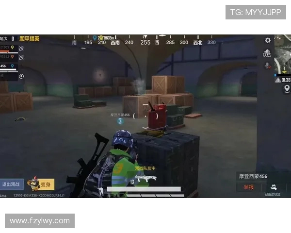 热议和平精英V5版本带来的速度革命与游戏体验的全新变革