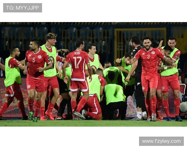 尼日利亚与刚果首发阵容分析及比赛前瞻全面解读