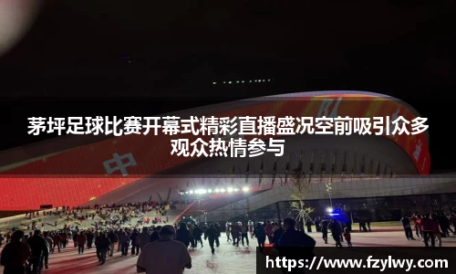 茅坪足球比赛开幕式精彩直播盛况空前吸引众多观众热情参与