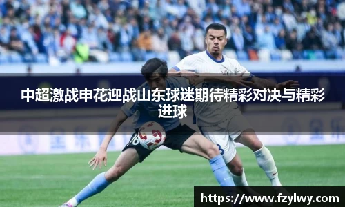中超激战申花迎战山东球迷期待精彩对决与精彩进球